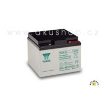 Baterie NPL 24-12I 12V/24Ah