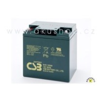 Baterie EVX12300 12V/30Ah